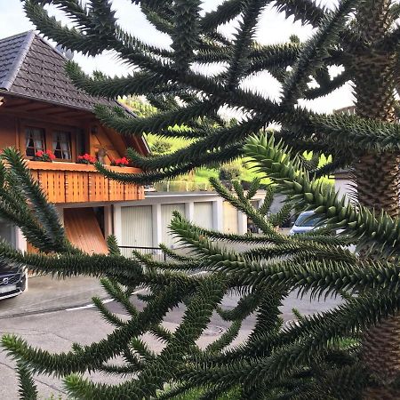 Pension Haus Rose 上哈尔默斯巴赫 外观 照片
