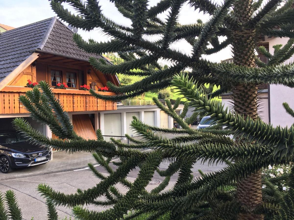 Pension Haus Rose 上哈尔默斯巴赫 外观 照片